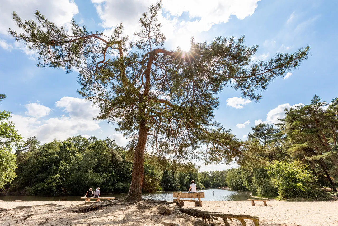 Loonse en Drunense duinen