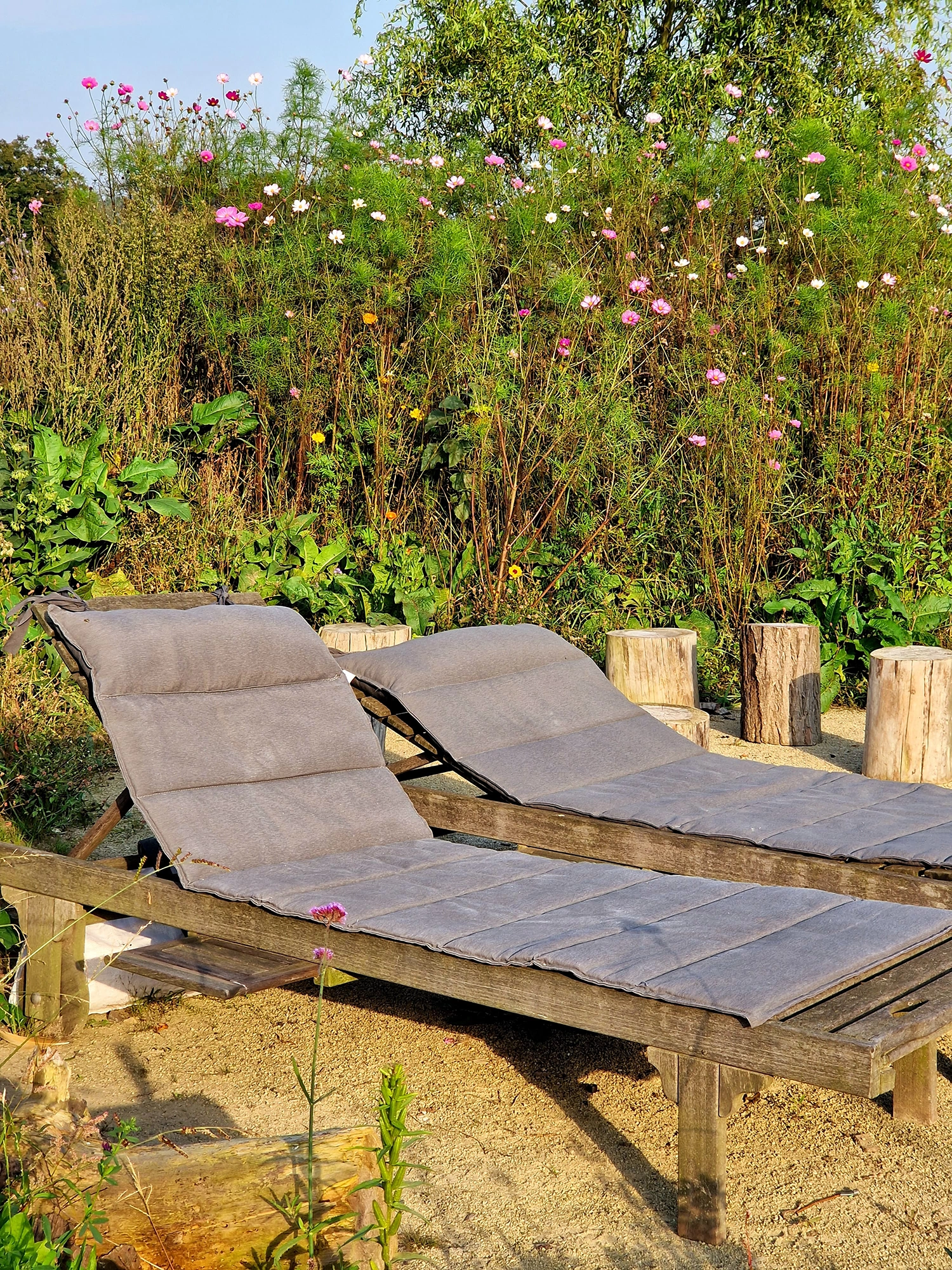 Garden shared 5