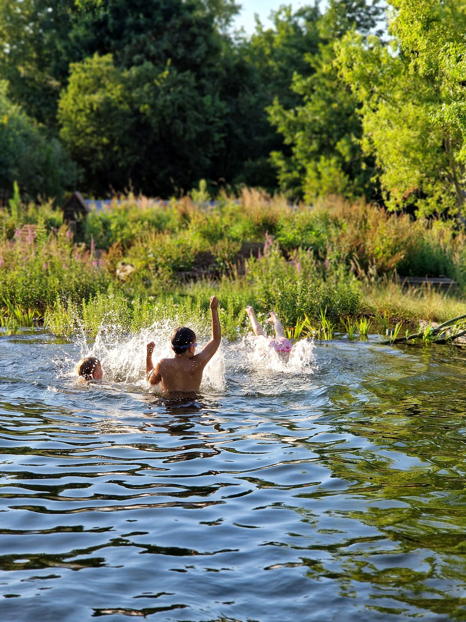 natural swimming pond 2